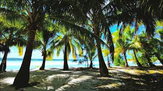 Relax on the Beach | Most Beautiful Tropical Oasis 🌊 Under the Shade of Palms🌴😎🌴 3D Stereo