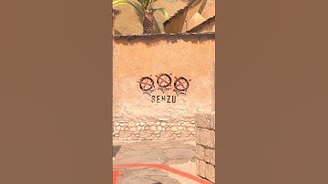 Senzu Graffiti 🙌