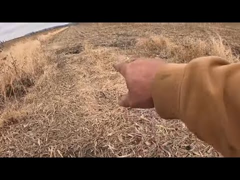 Opening Day Of Iowa Trapping (surprise Activity At Hill Of Death) Ep1 2024-25