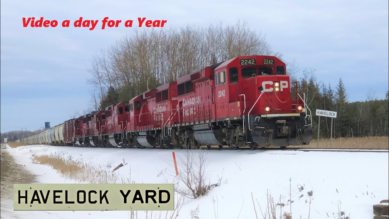 Havelock Yard Video a Day for a Year