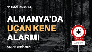 Almanya'da uçan kene alarmı - 11 Haziran 2024 Oktan Erdikmen