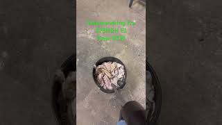 Omforming av hylser 375H&amp;H til 7mm STW