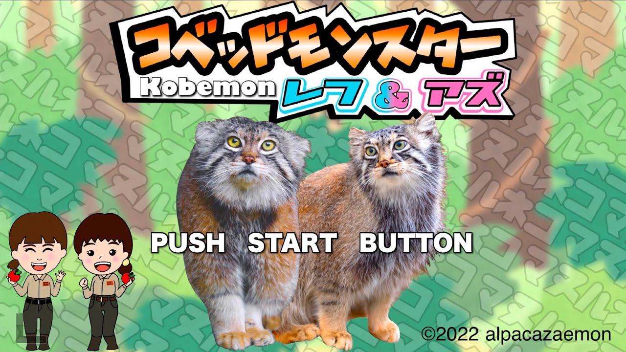 【マヌルネコ】コベッドモンスター！レフ&アズ(Pallas's cat birthday special video !!)