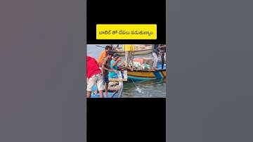 వాటర్ బాటిల్ తో చేపలు ఏలా పట్టాలి😱🤯 #konaseema #tv9 #fishing #shorts #viralvideo #trending #ytshorts