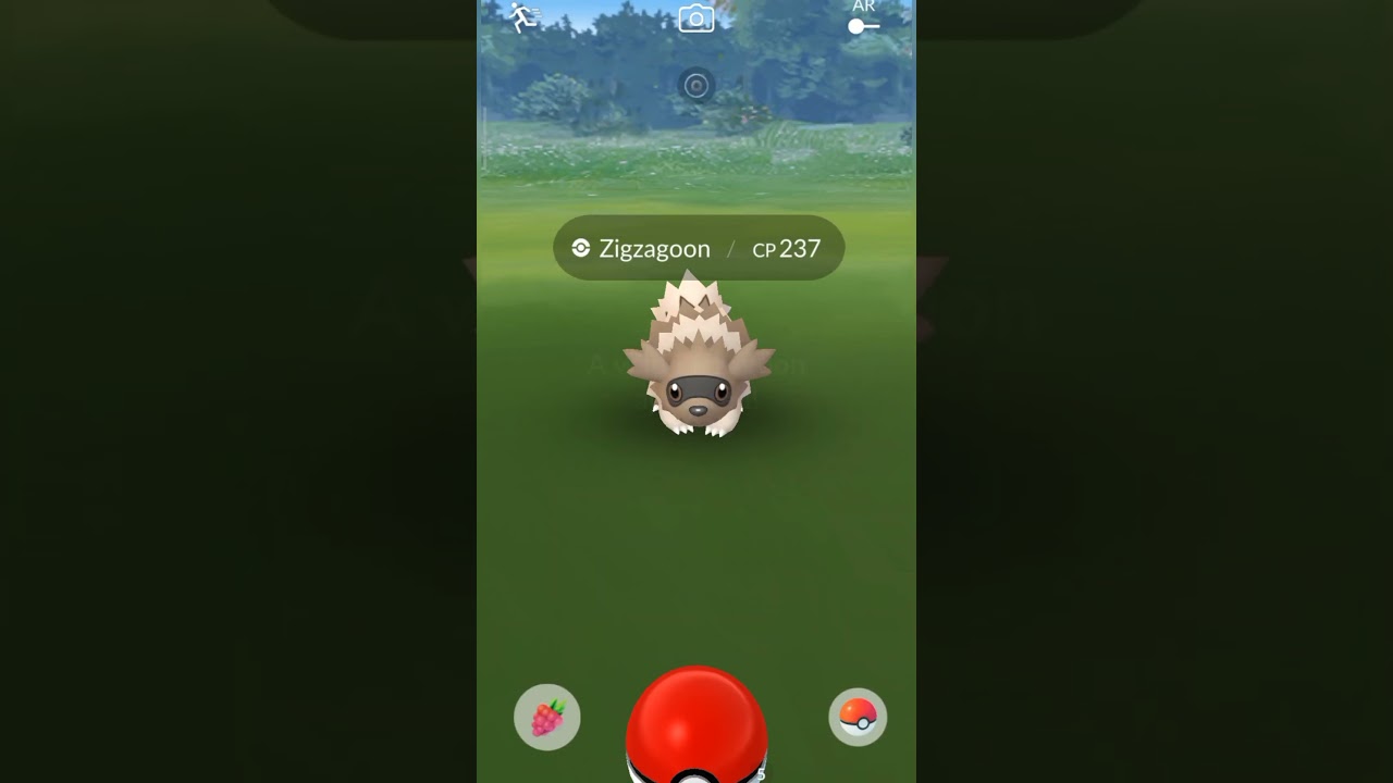 Getting Lucky with Wild Shiny  