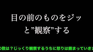 アンガーマネジメント基本テクニック編ストレスフリーな自分になる！