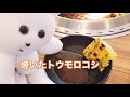 生活まとめ4【食レポ】【コンタクトレンズの歌】