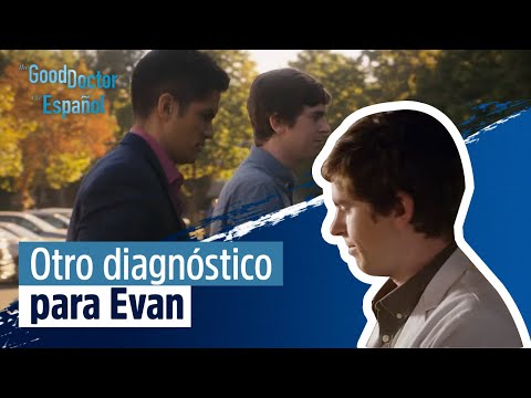 Shaun busca otro