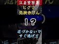 【※閲覧注意※】熊と車が衝突【※閲覧注意※】#shorts