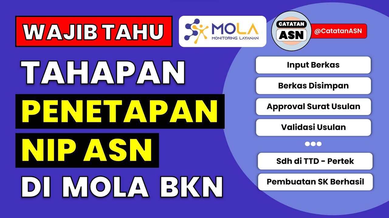 Wajib Tahu! Tahapan Penetapan NIP ASN (CPNS & PPPK) di MOLA BKN