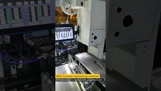 Fully Automatic Terminal Crimping Machine With Terminal Connector Assembly Insertion for wireharness