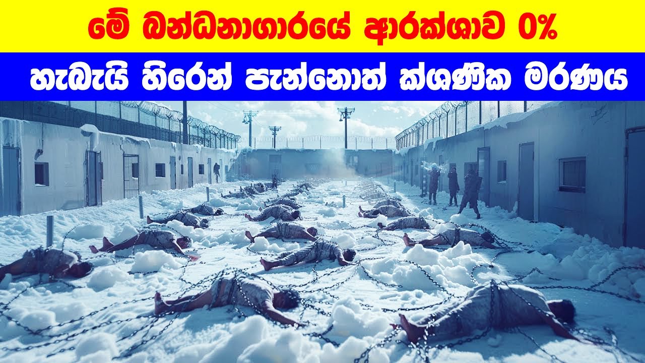මේ බන්ධනාගාරයේ ආරක්ශාව 0% හැබැයි හිරෙන් පැන්නොත් ක්ශණික මරණය