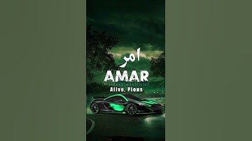 🌹Amar🌹 | Name Meaning Status ||#urduehindofficial  #ytshorts #shorts #amar