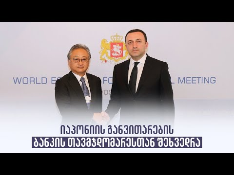 იაპონიის განვითარების ბანკის თავმჯდომარესთან შეხვედრა