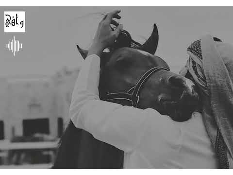 قصيدة ابن الأصول الحر أداء آلوآفي آل سعد شاعر القبيلة