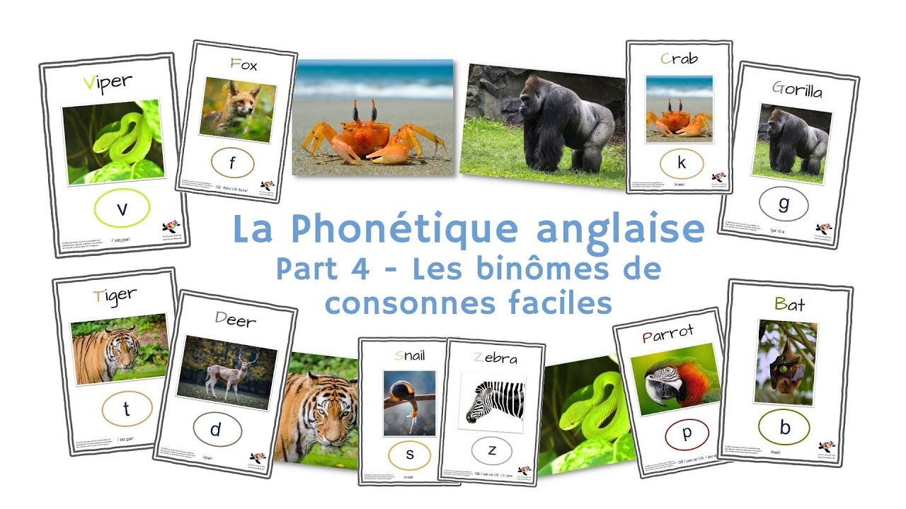 Part 4 Les consonnes de la langue anglaise (1/3) YouTube