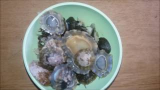 Orazio Mauro Mauru E Patelle Di Mare Sicilia Youtube