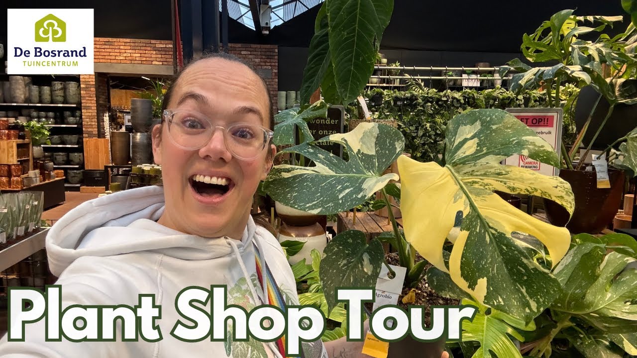 Rare Plants At LOW Prices Plant Shop Tour YouTube rare-plants-at-low-prices-plant-shop-tour-youtube