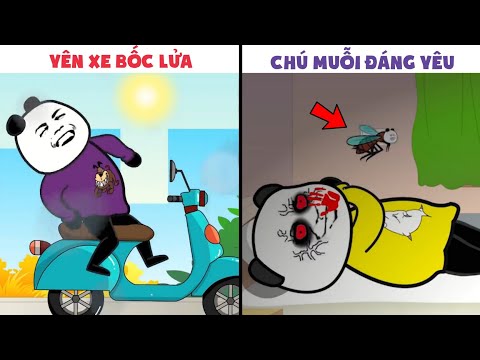 Video GẤU HÀI HƯỚC: Những Thứ Ám Ảnh Tôi Mỗi Khi Mùa Hè Đến... - youtube