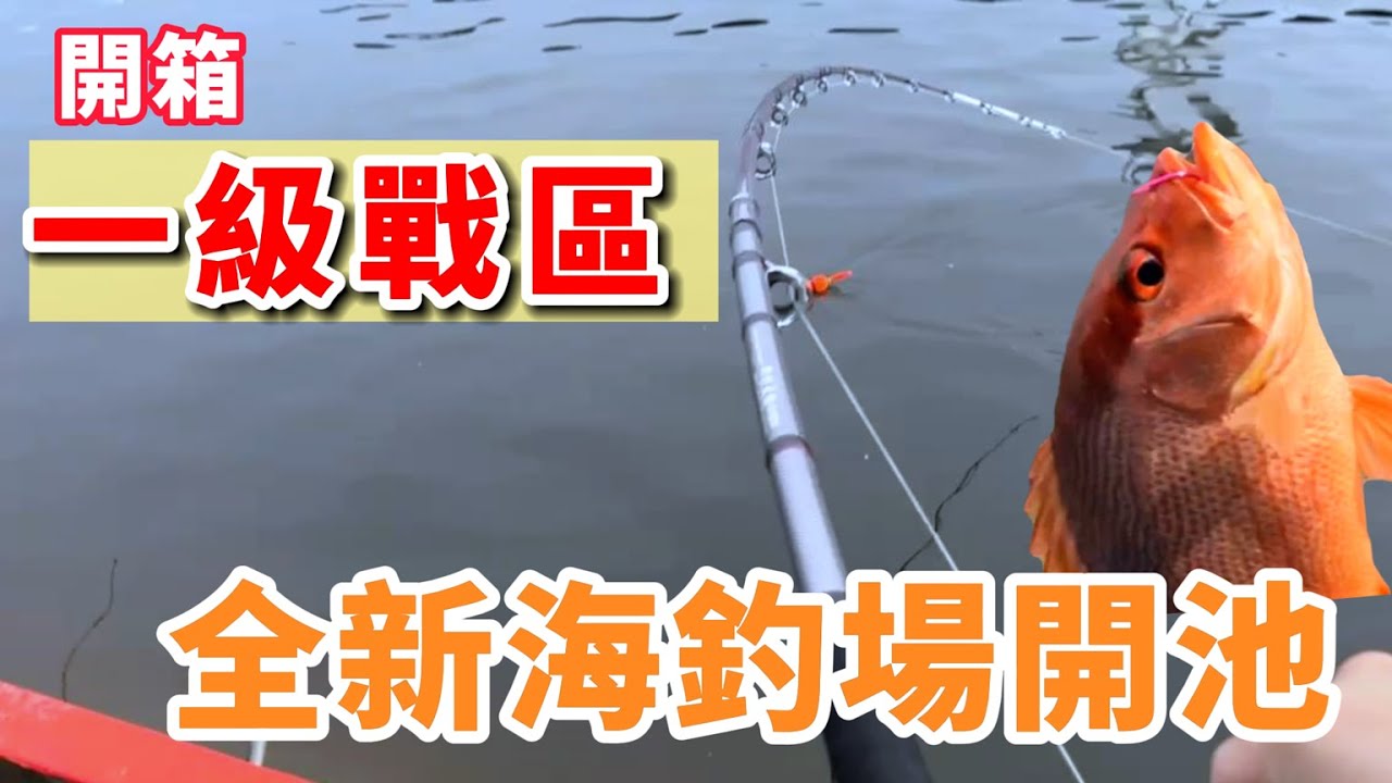 [海釣場]開箱林口八里 一級戰區 全新海釣場開池!!|八里海釣場|#fishing #海釣場 #釣魚