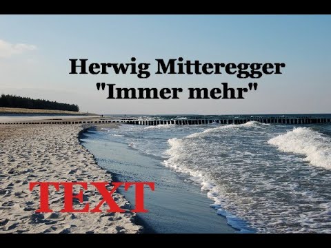 Herwig Mitteregger - Immer mehr TEXT