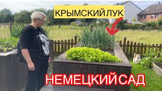 НЕМЕЦКАЯ ДЕРЕВНЯ , ПОБЫВАЛИ В ДОМЕ ПРЕСТАРЕЛЫХ В ГЕРМАНИИ. БЕЖЕНЦЫ ИЗ УКРАИНЫ