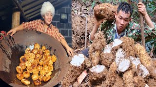 HOW TO TRANSFORM THIS UNUSUAL GIANT TUBER INTO DELICIOUS CAKES