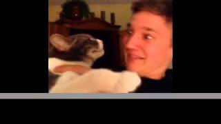 BEST WEEKEND COMPILATION #1 NOVEMBER - Best Of Vines
