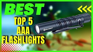 TOP 5: Best AAA Flashlights 2023