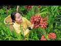 Harvest salak salacca zalacca goes to the market sell  emma daily life