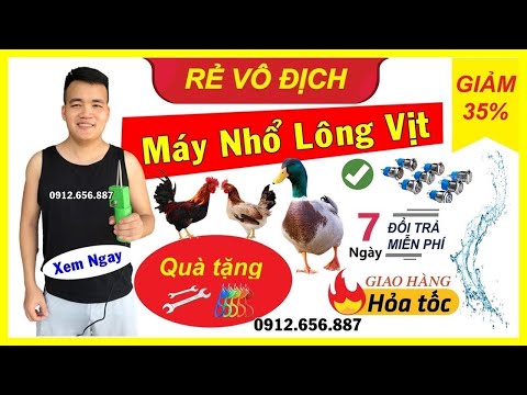 Video Máy nhổ lông vịt cầm tay sử dụng thế nào | Có tốt... - youtube