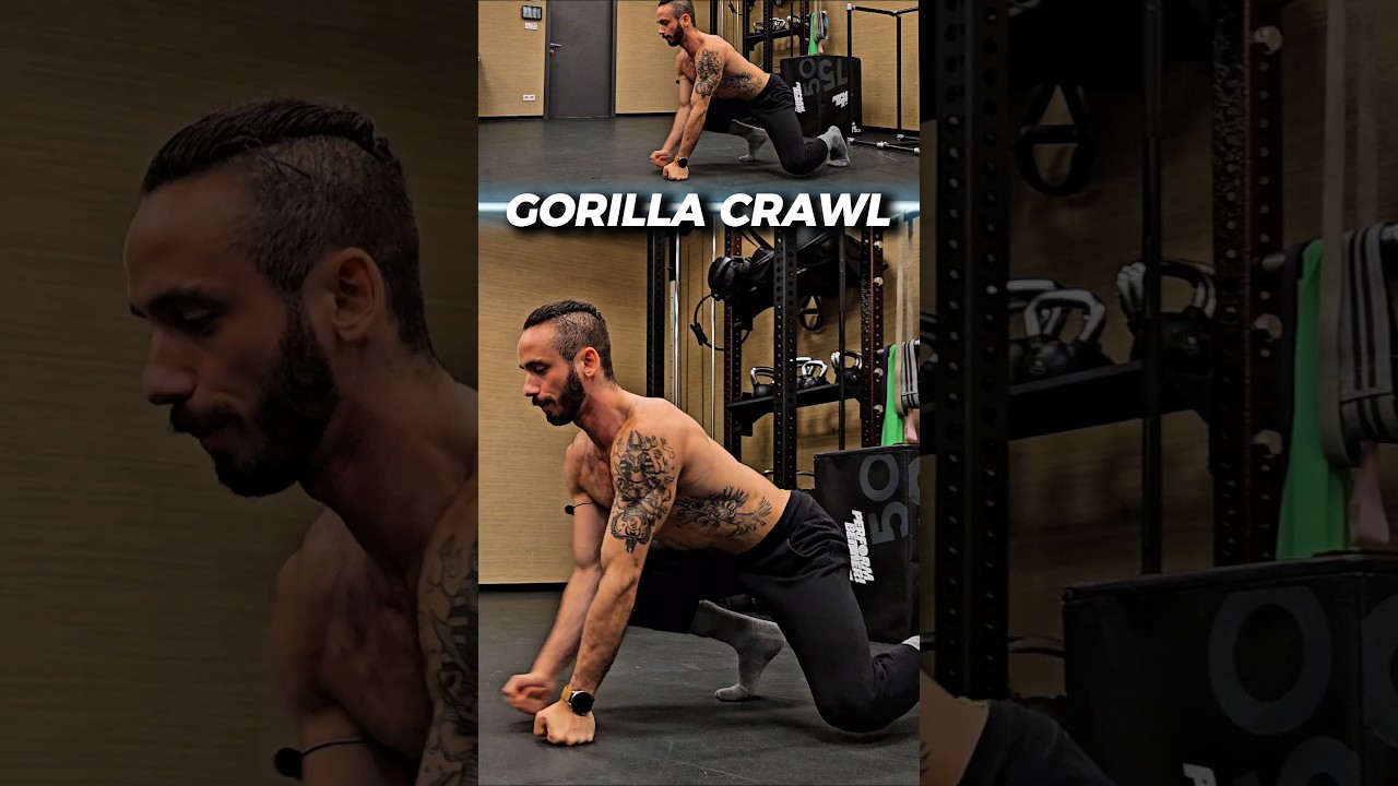 🔥 Best Animal Movement Patterns To Do Daily P2: Intermediate 