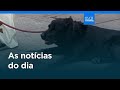 Notícias do dia | 20 de junho 2026 - Tarde