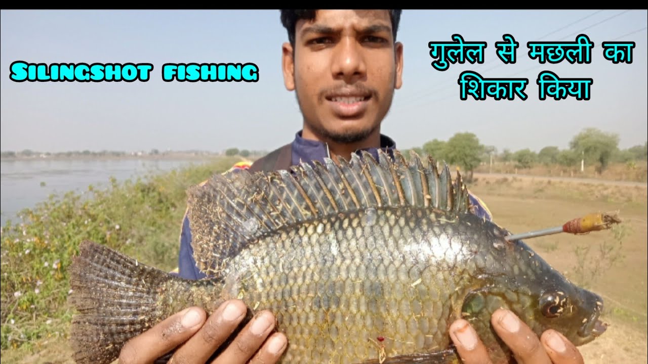 catching fish with a shiling shot big fish hunting with a shiling