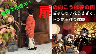 104着物で和モダンの夢の国へ！トンボ玉の羽織紐作り体験！