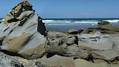 Forresters Beach