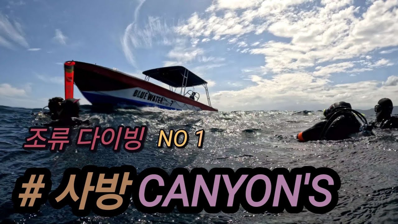 #사방비치 2일차 #캐니언 #조류다이빙 1