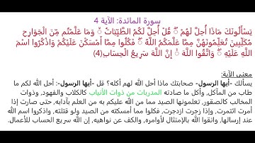 سورة المائدة الآية 4: شرح معنى الآية وتكرارها لتسهيل الحفظ