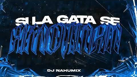SI LA GATA SE AMOTINAN (CACHEFUNK 2025) PEIPPER FT. DOBLE P, JOMBRIEL, PEDRO SAMPAIO - DJ NAHUMIX