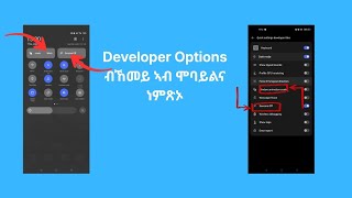 Developer Options