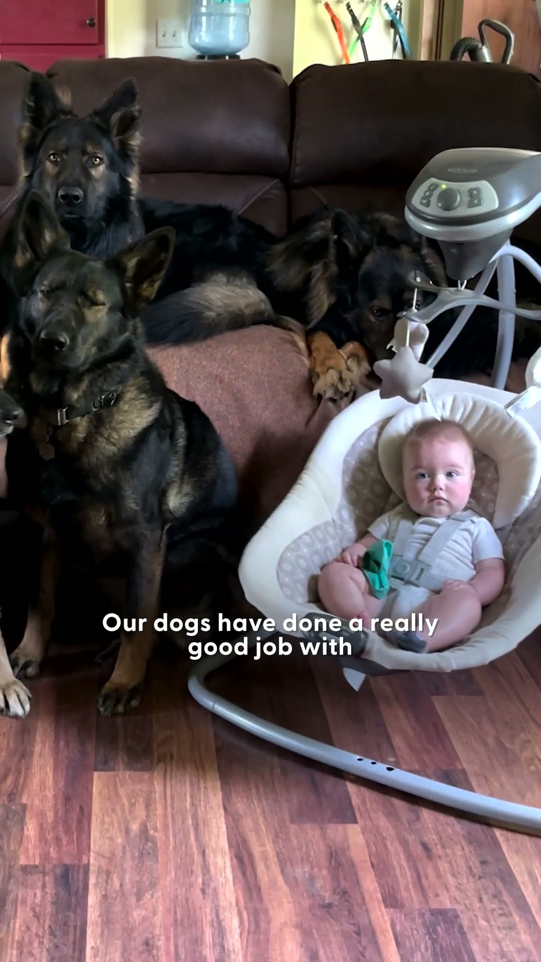Baby Girl Is Being Raised By Six German Shepherds | The Dodo