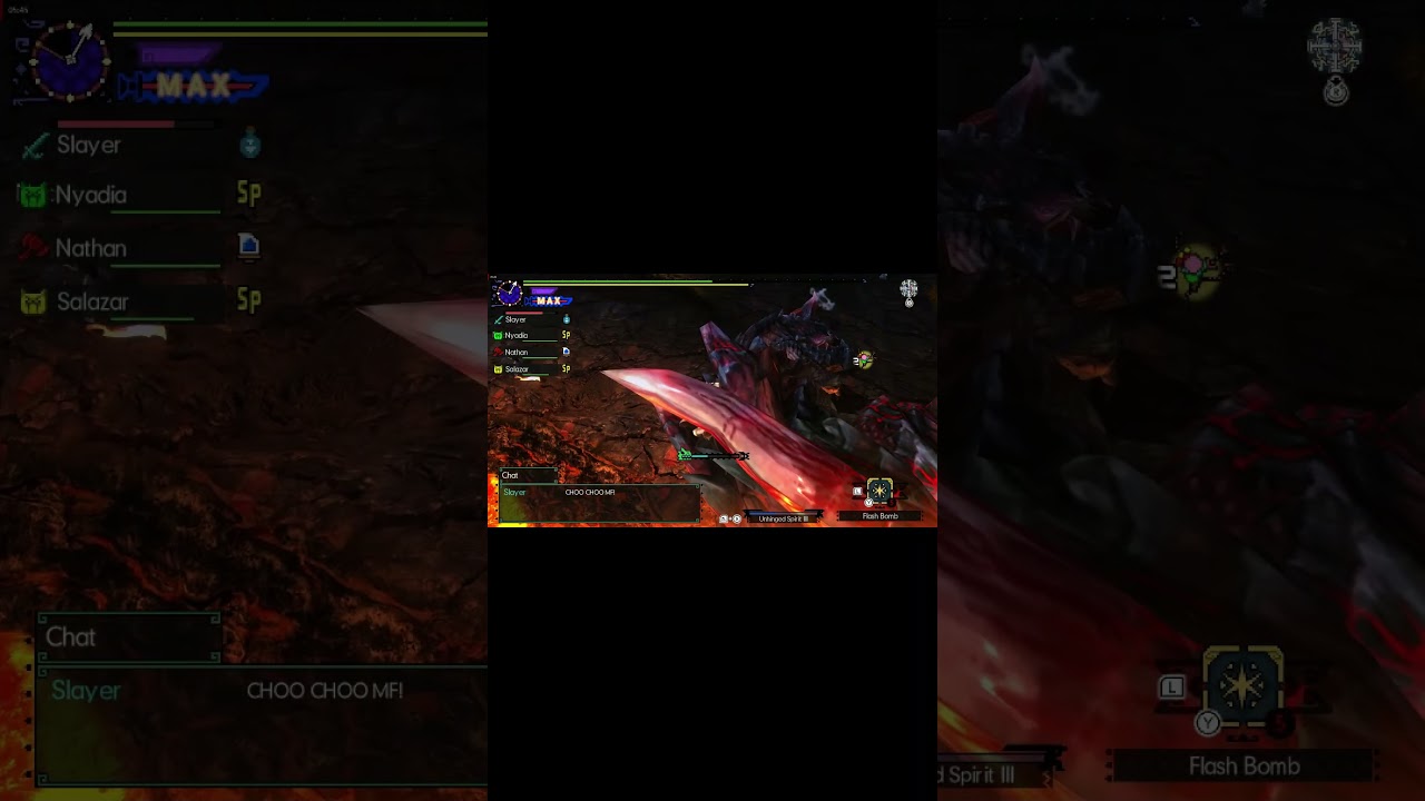 Monster Hunter Generations Ultimate | Funny Moments | EPIC MOMENTS | Random Moments