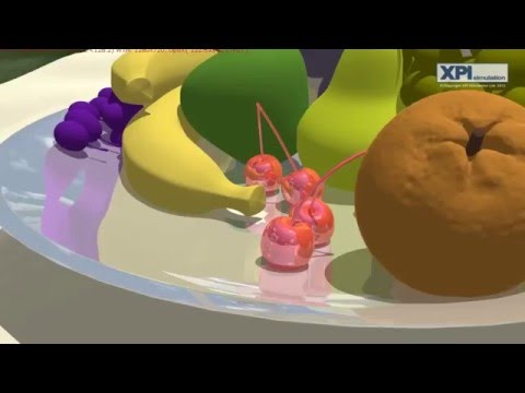 XPI Simulation Intro