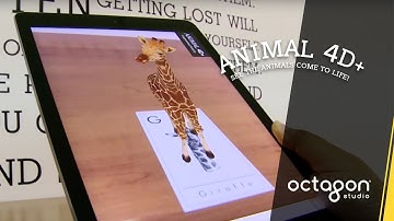 Augmented Reality Flashcards: Animal 4D+ | Octagon Studio