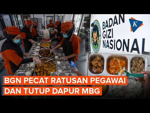 Bersih-bersih BGN! 261 Pegawai Dipecat, 833 Dapur MBG Ditutup