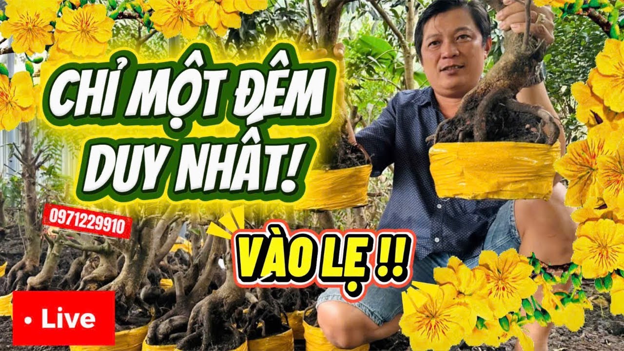 LIVE 🌼19h 5/3 cuối vườn tri ân lớn 📞0971229910 Liêm