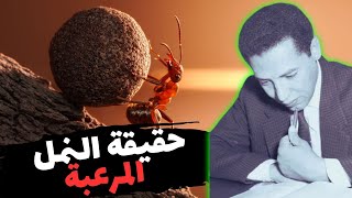 مصطفي محمود سيغير طريقة تفكيرك | عن عالم النمل | بعد هذا الفيديو