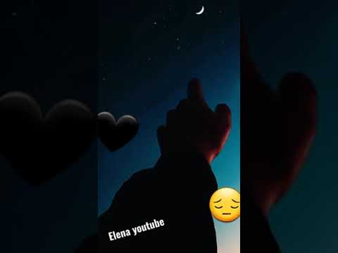 اجمل غنيه وائل كفوري تبكي الطيور حالات واتساب