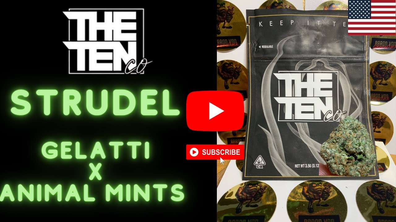 Strudel 🔥 🇺🇸 from The Ten Co  🤩🔥- Gelatti x Animal Mints - Strong Cali Sativa🤯