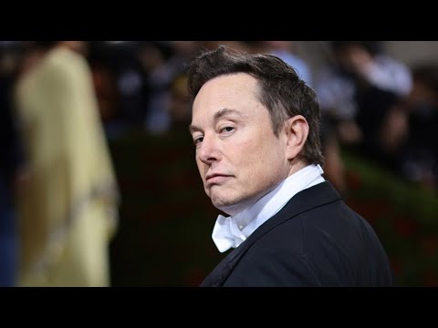 'Entitled' Twitter employees mocked after Elon Musk cuts their free lunches